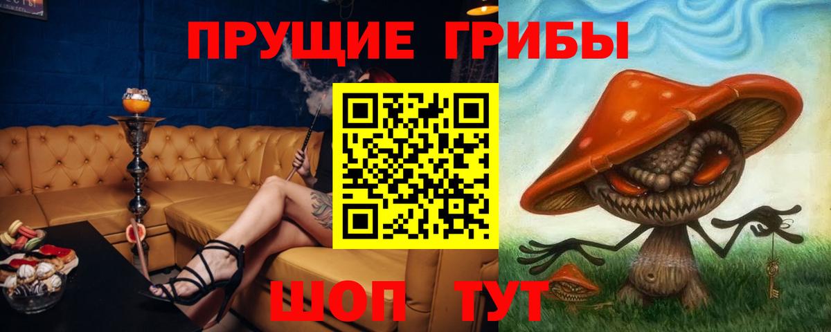 Псилоцибиновые грибы GOLDEN TEACHER  Галлюциногенные грибы GOLDEN TEACHER  Вход с VPN  Свободный 